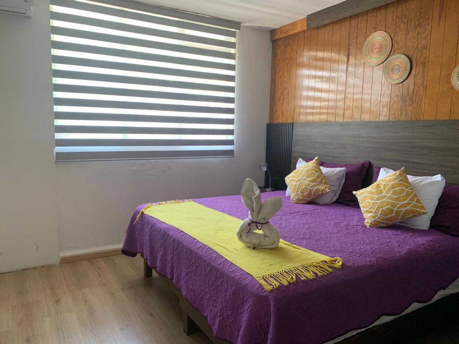 Pino Apartment Oaxaca Esterno foto